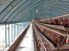 各类养殖大棚